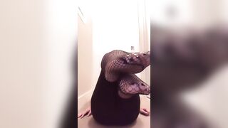 Foot Fetish: My little piggy’s in fishnet #1