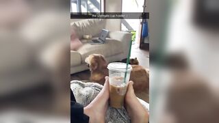Feet: Peyton coffees. Feet♥️♥️ #4