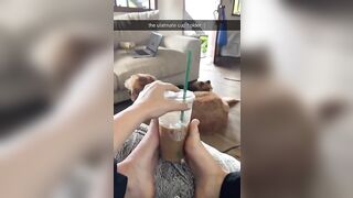 Feet: Peyton coffees. Feet♥️♥️ #3
