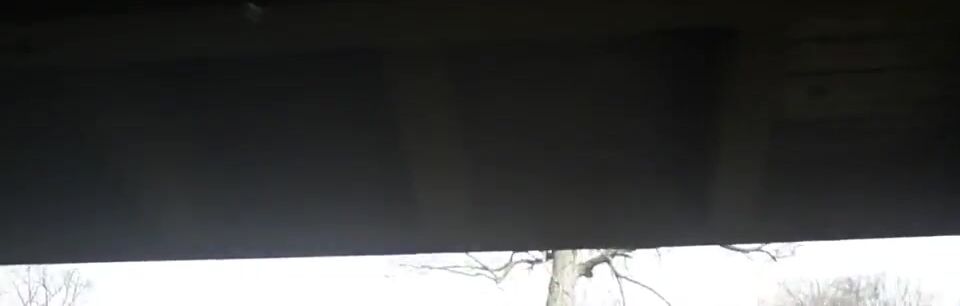 Lesbian FW in the park