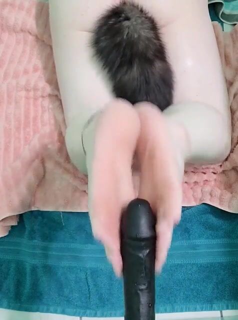 Puppy loves to please